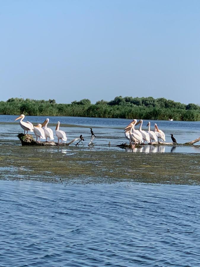 Casa Patru Anotimpuri Hotel Dunavăţu de Jos Bagian luar foto